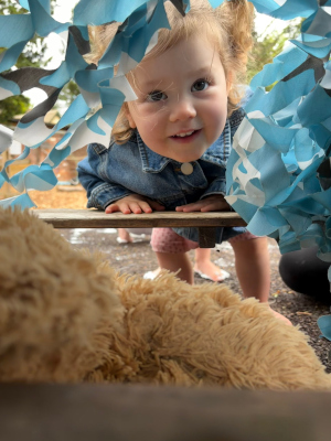 The Orange Tree Nursery - Bear Hunt