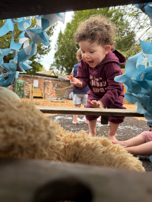 The Orange Tree Nursery - Bear Hunt