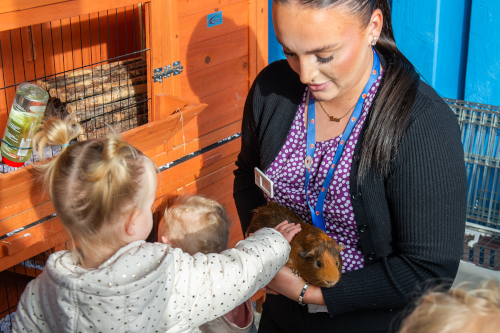 Caring for Nature and Living Things